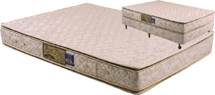 fort flex d-50