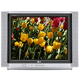televisor flatron